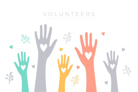 Volunteer Groups & Nonprofits